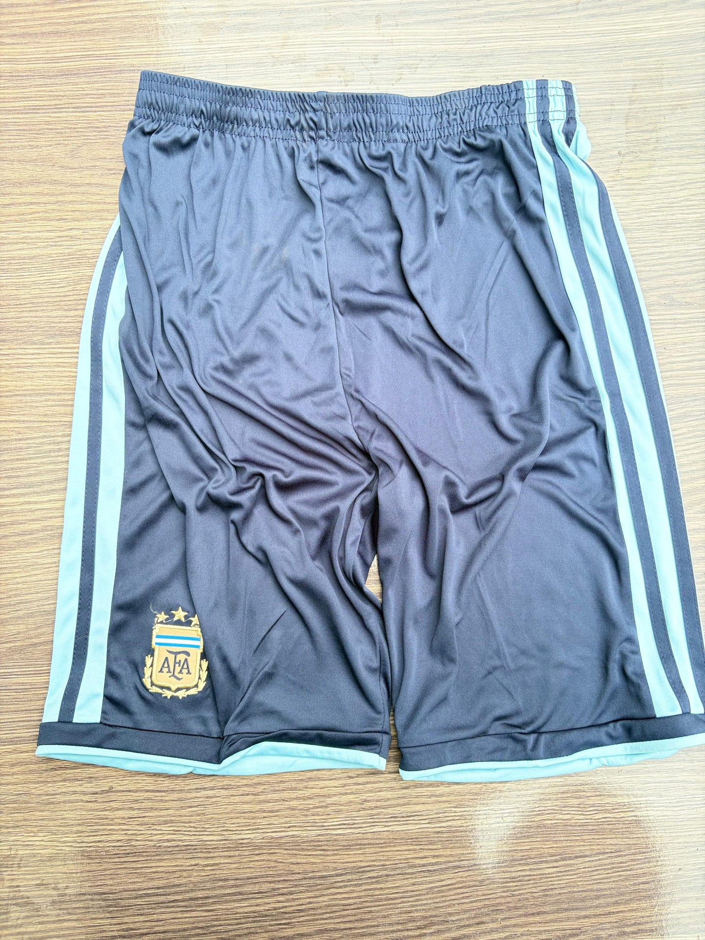Argentina 26 WC Home Kit Full Sleeves ( TPU )