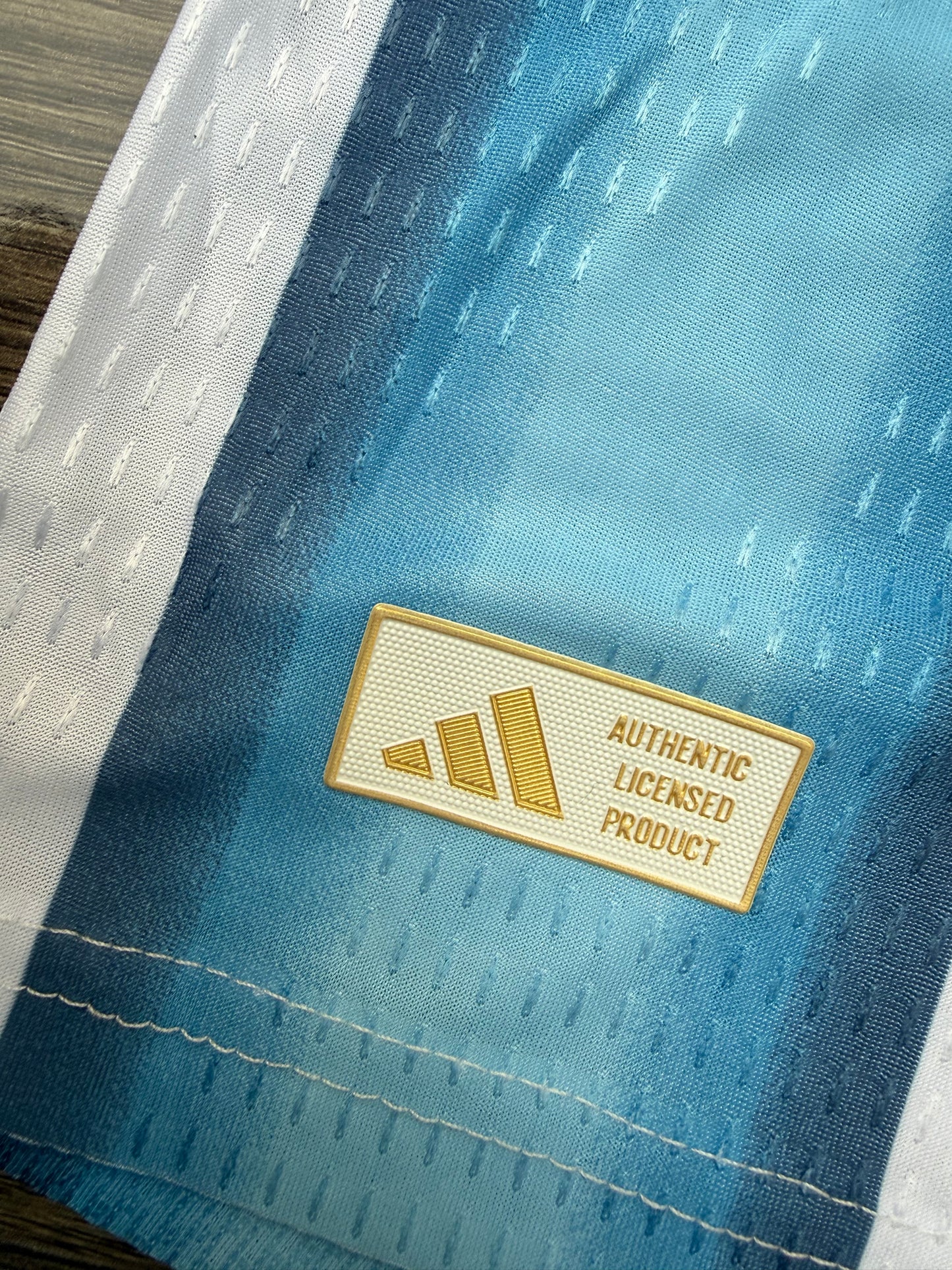 Argentina 2026 WC Home Jersey ( Player Version )