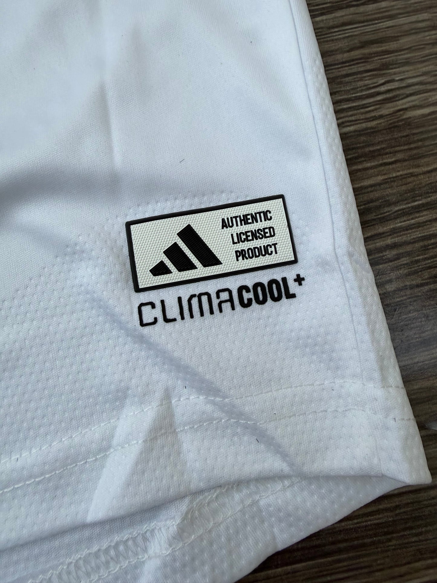 Germany 26 WC Home Kit Full Sleeves ( TPU )