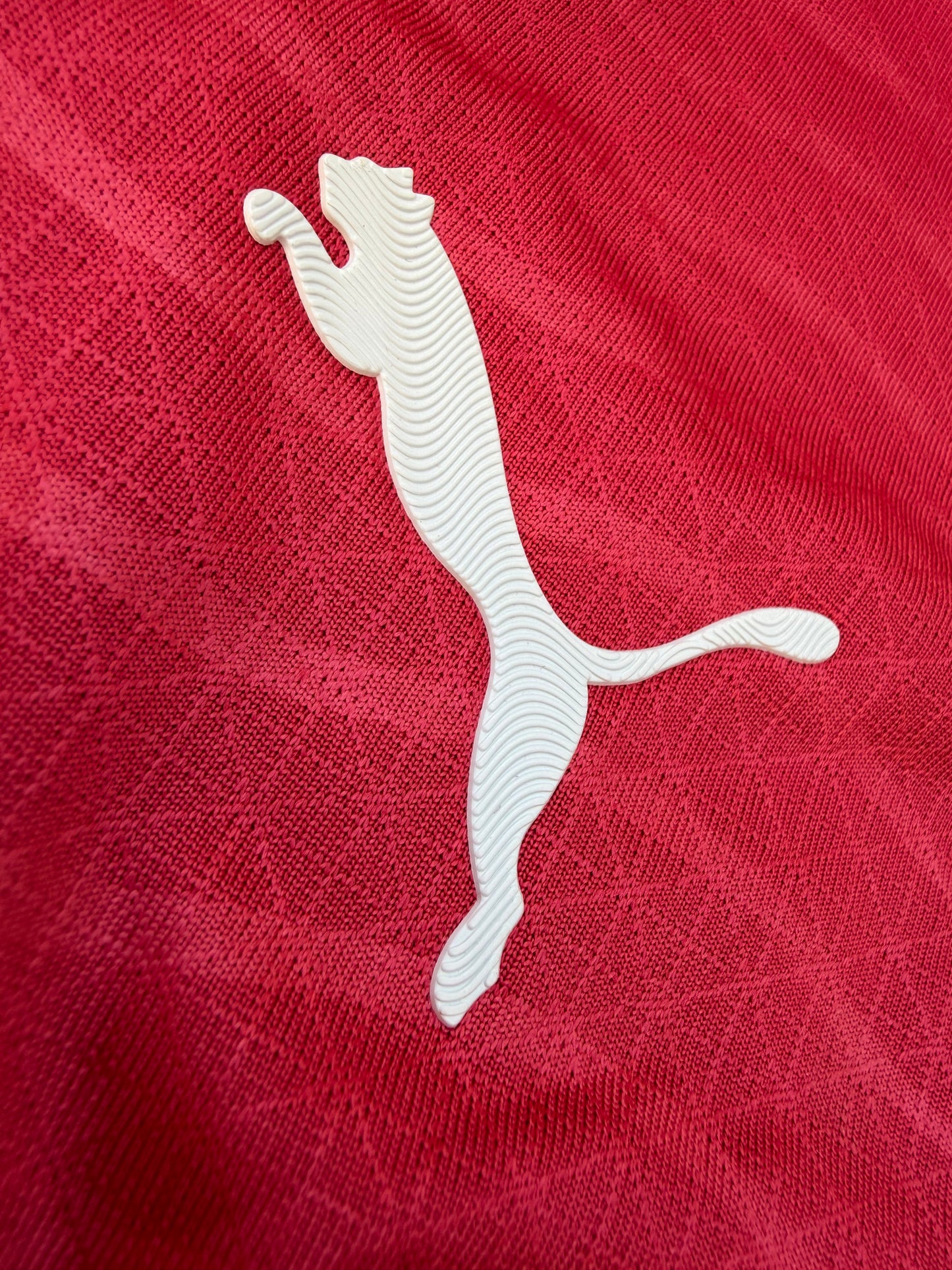 Portugal 26 WC Home Jersey Full Sleeves ( Player Version )
