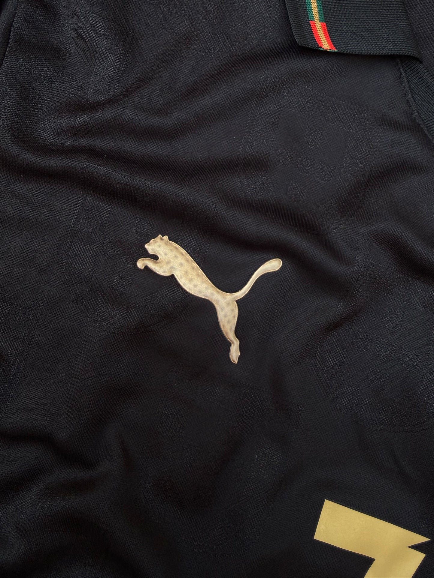 Portugal Special Edition Jersey ( Player Version )