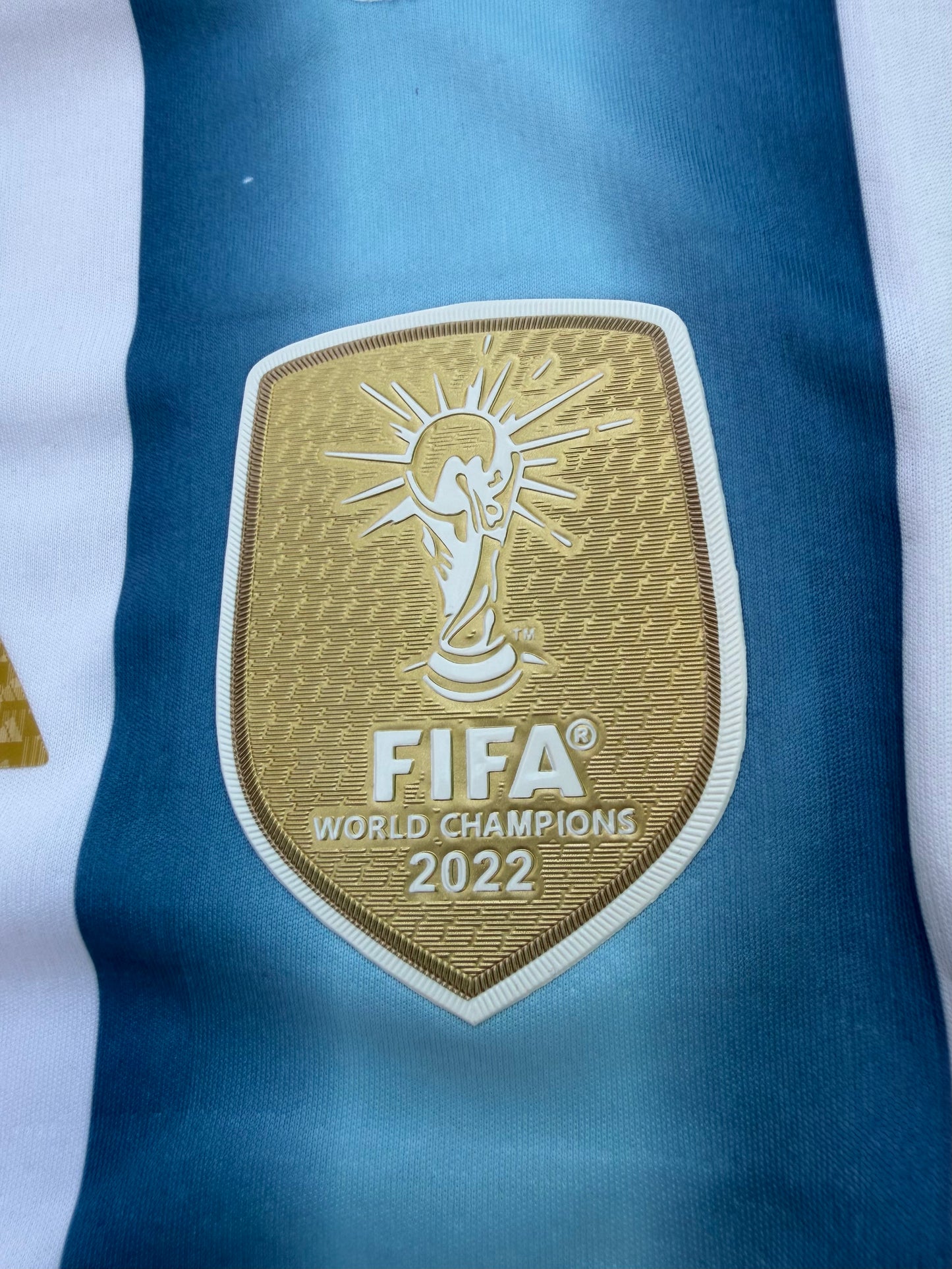 Argentina 26 WC Home Kit Full Sleeves ( TPU )