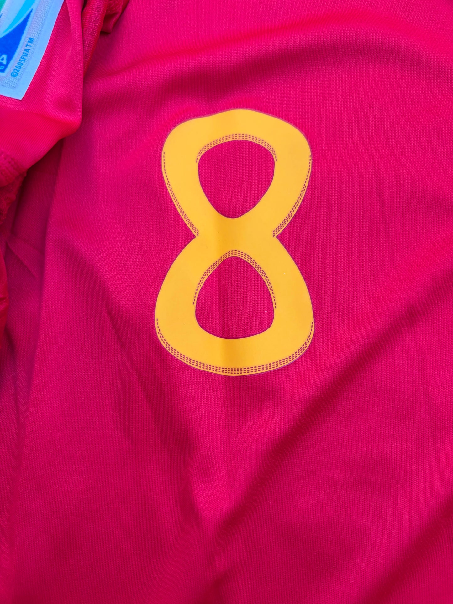 Spain 2010 Home Xavi