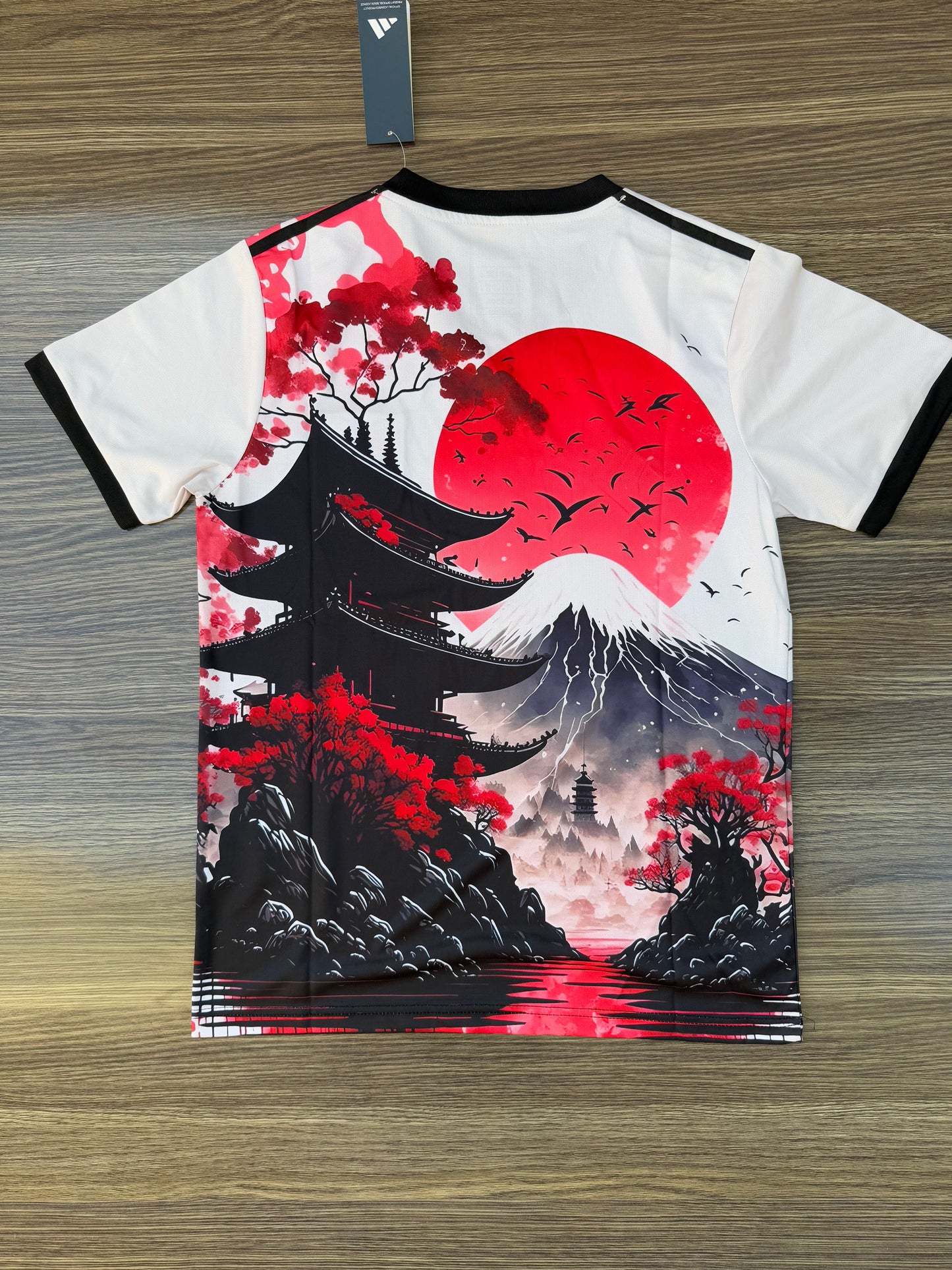 Japan x Mt Fuji