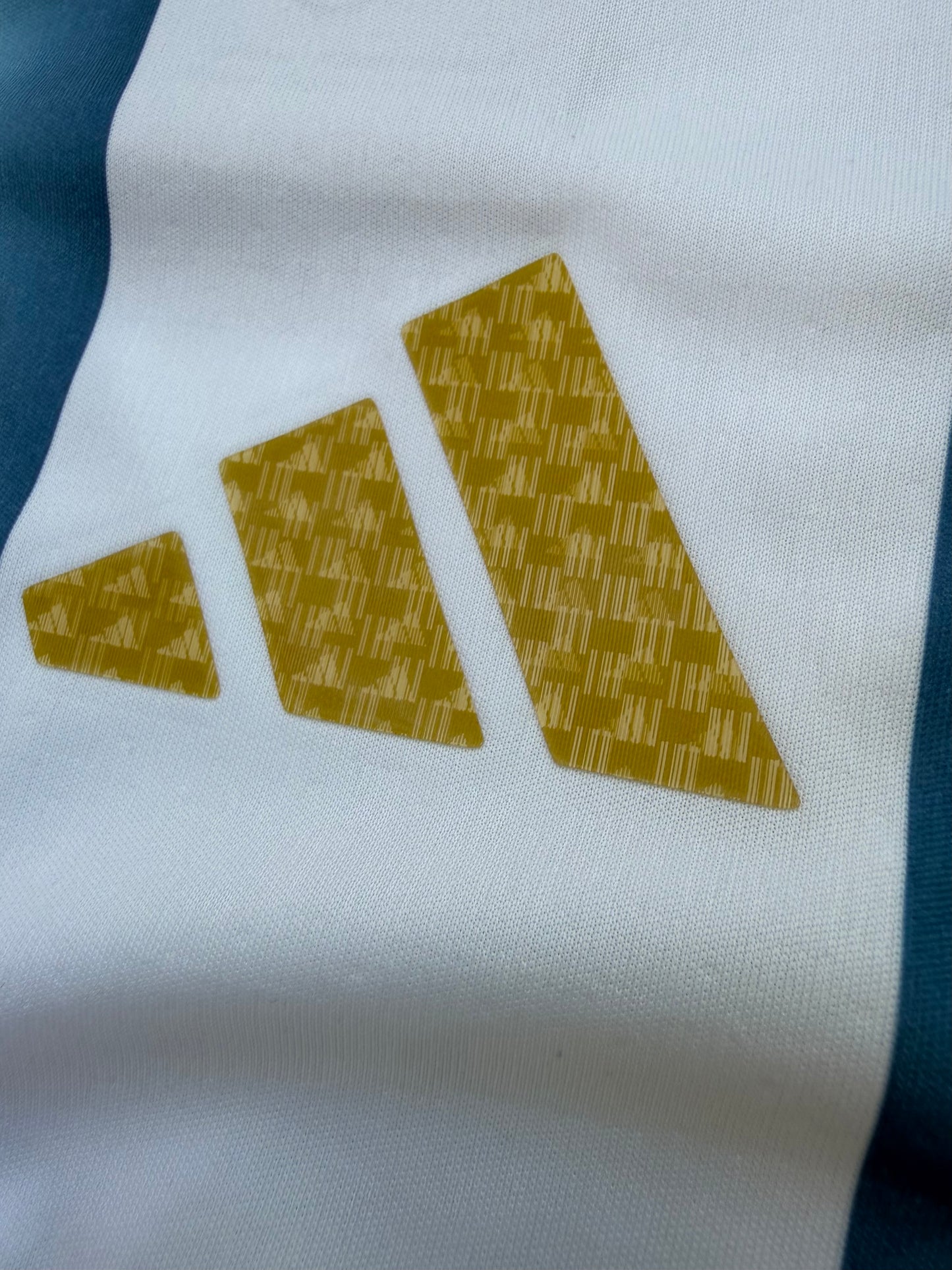 Argentina 26 WC Home Kit Full Sleeves ( TPU )