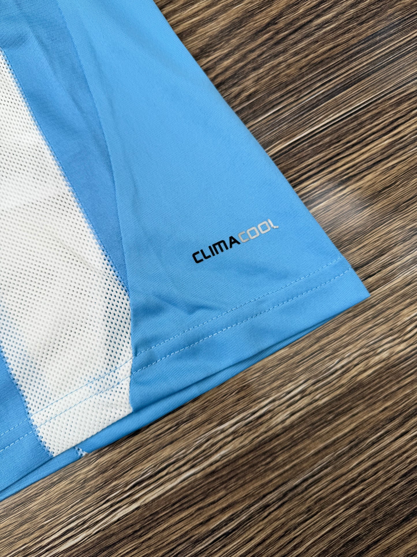 Argentina 2010 WC Home Jersey