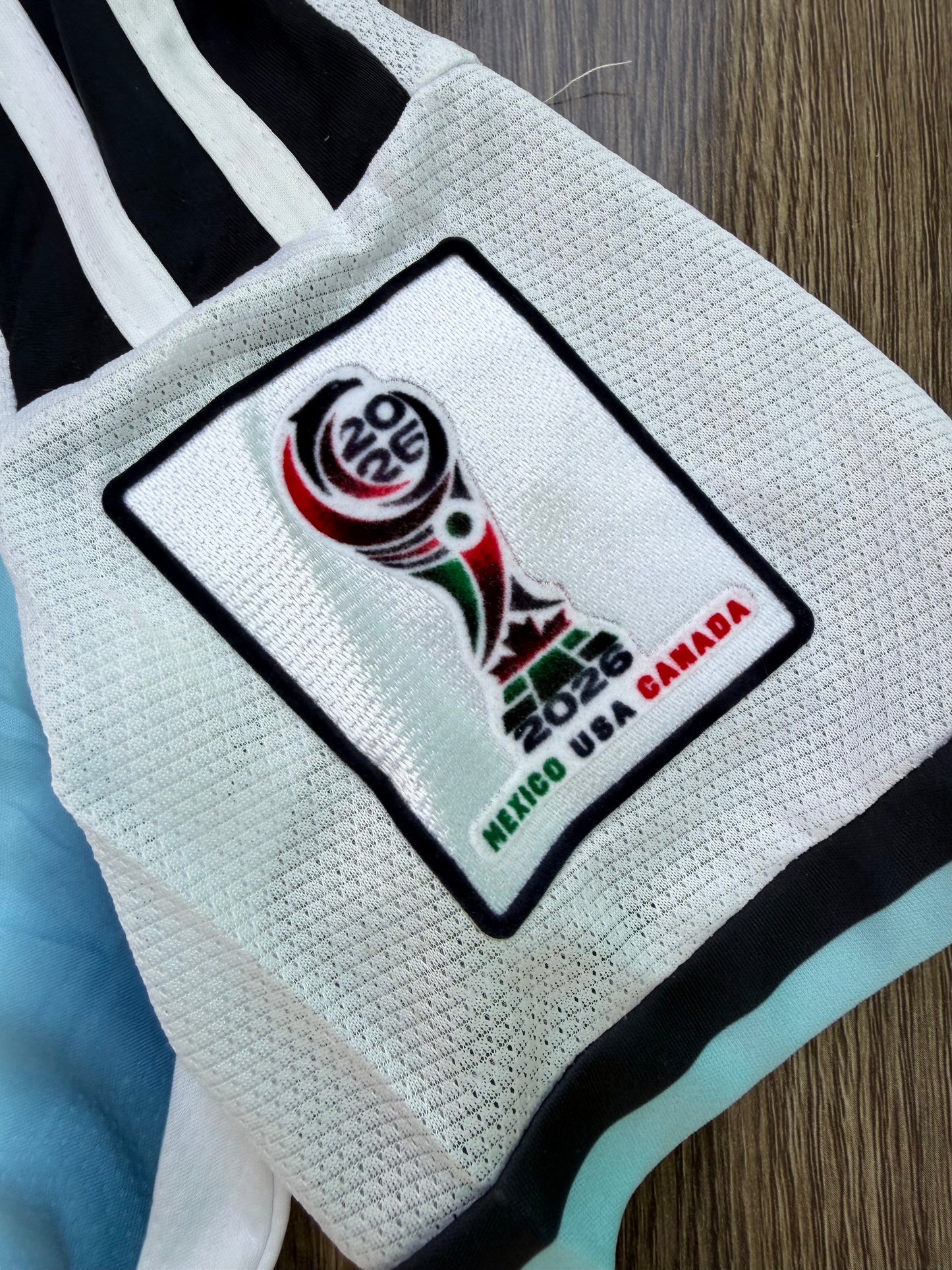 Argentina 26 WC Home Kit ( TPU )