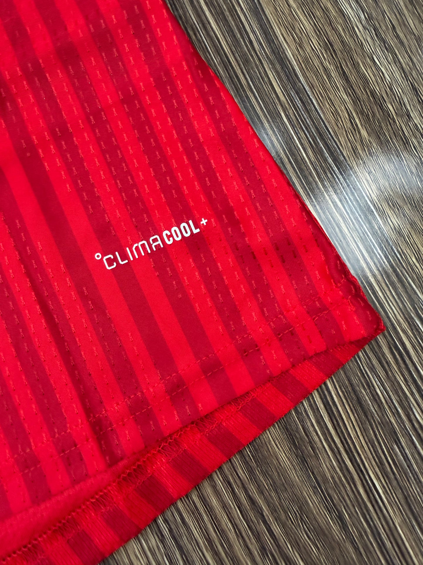 Bayern 26/27 Home Jersey ( Player Version )